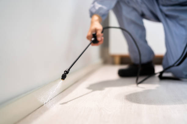 Licensed Pest Control service in Wooster, OH - Show Me Pest Control