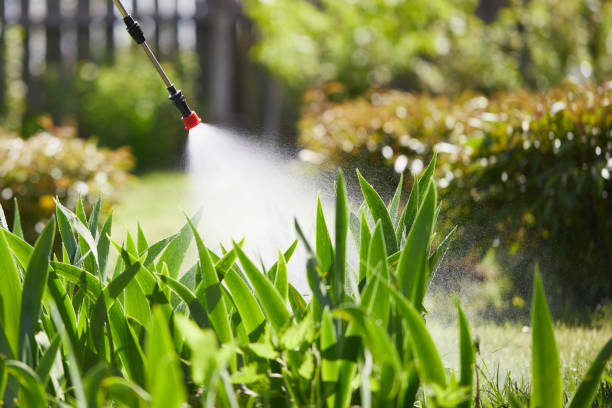 24/7 Emergency Wasp Removal experts in Wooster, OH