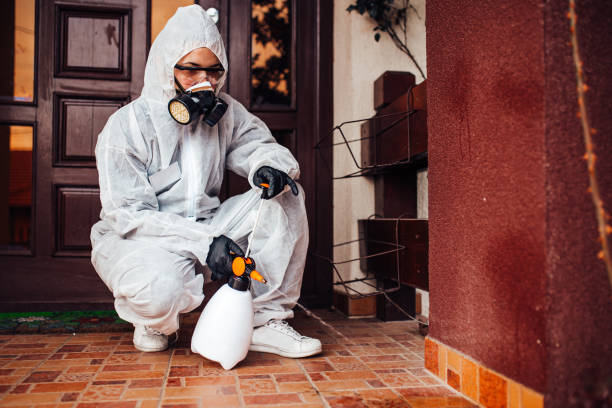 Reliable Wasp Removal contractor in Wooster, OH by Show Me Pest Control